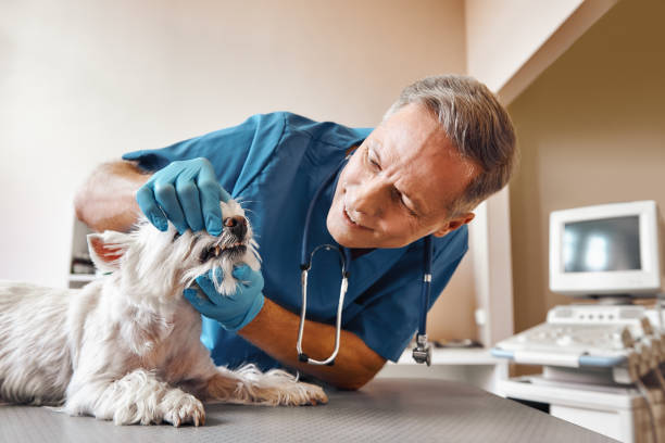 Best Urgent Dental Care  in South Amboy, NJ